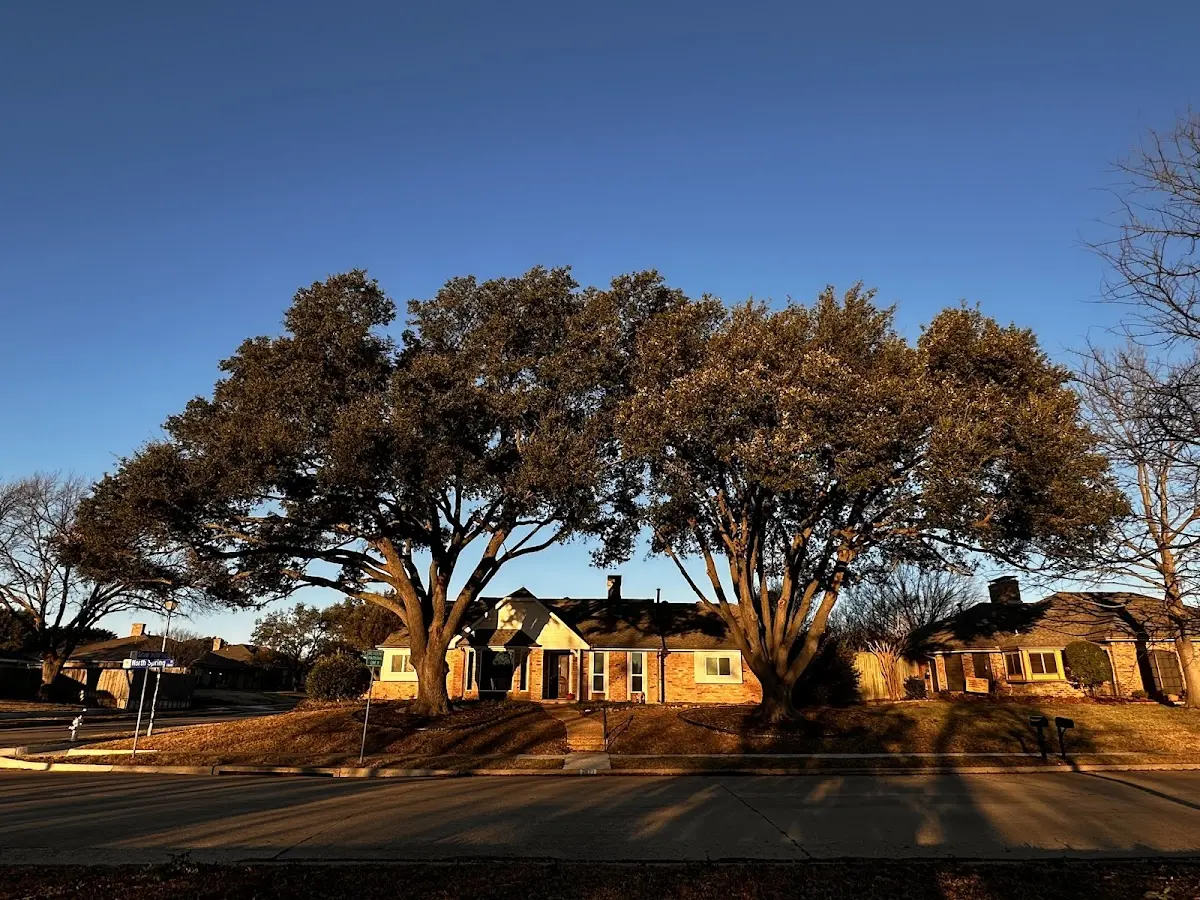 Established residential canopy tree shading a home in Pawhuska