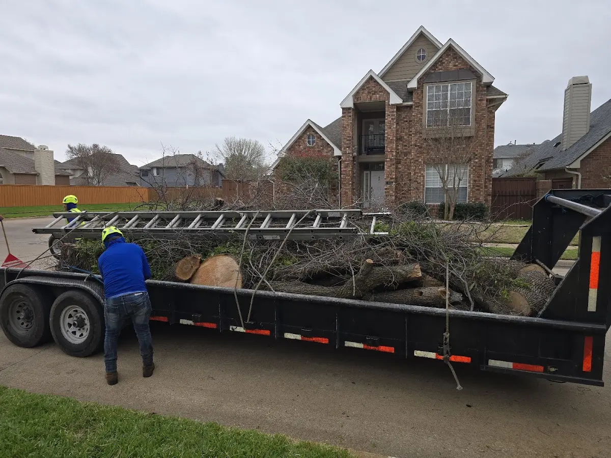 Expert Tree Removal with proper safety equipment in Pawhuska